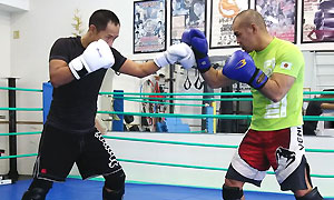 格闘技プロ選手がトレーナーのパーソナルトレーニング(総合格闘技道場コブラ会・大阪市)キックボクシングスパーリング